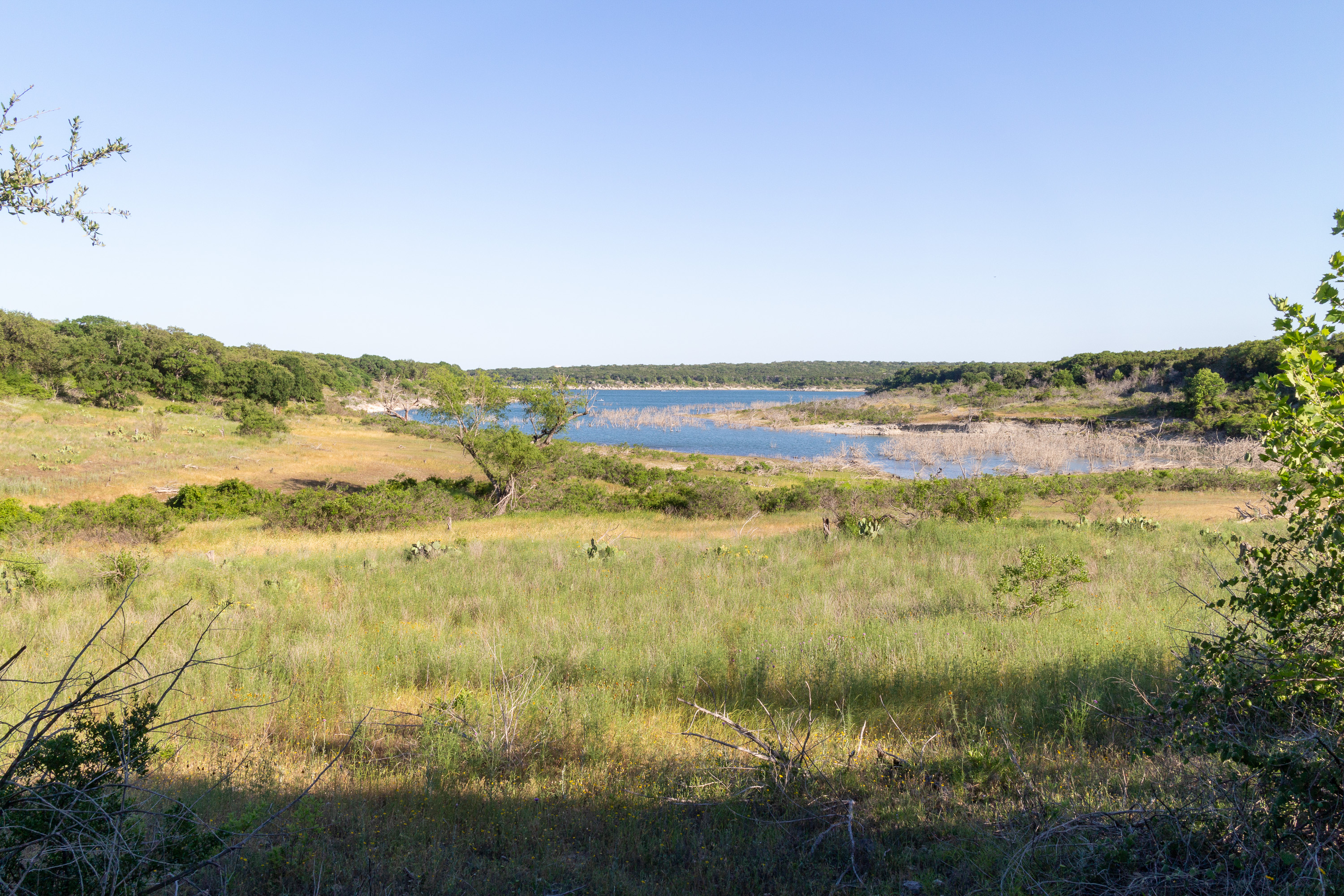 Landscape shot of a lake